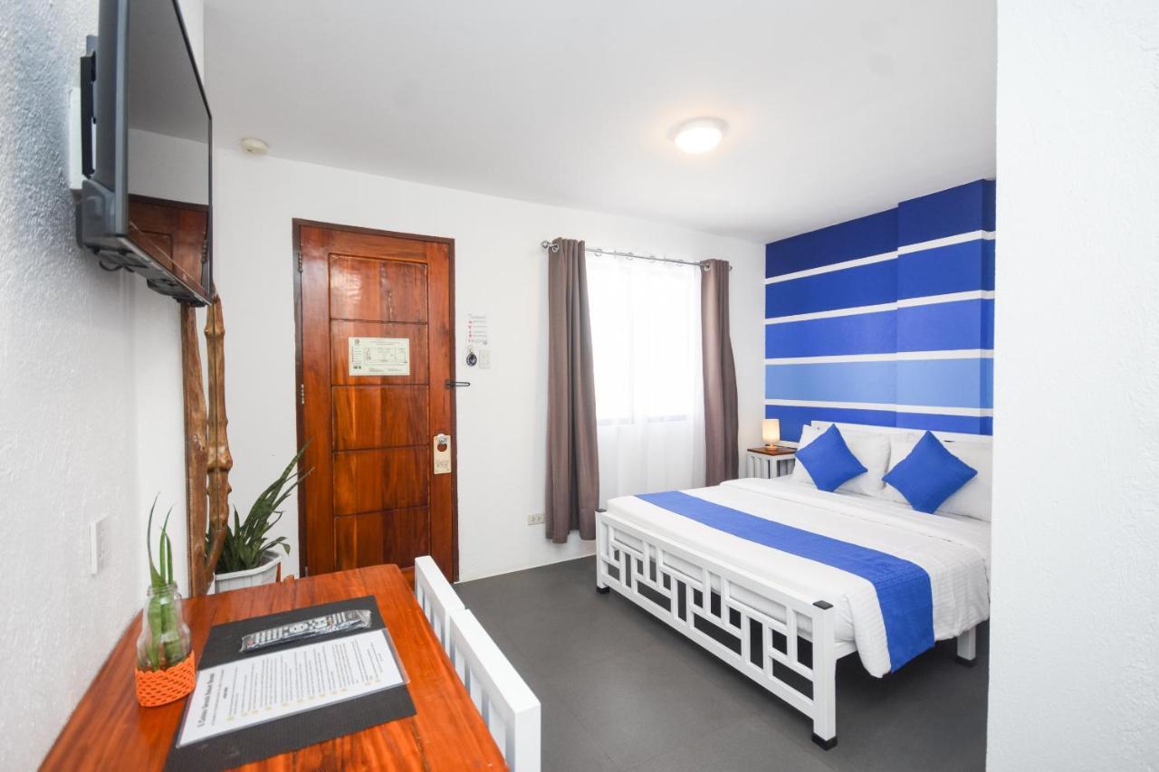 8 Colors House 3*
