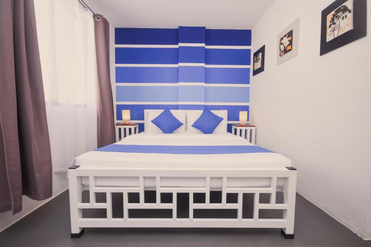 8 Colors House